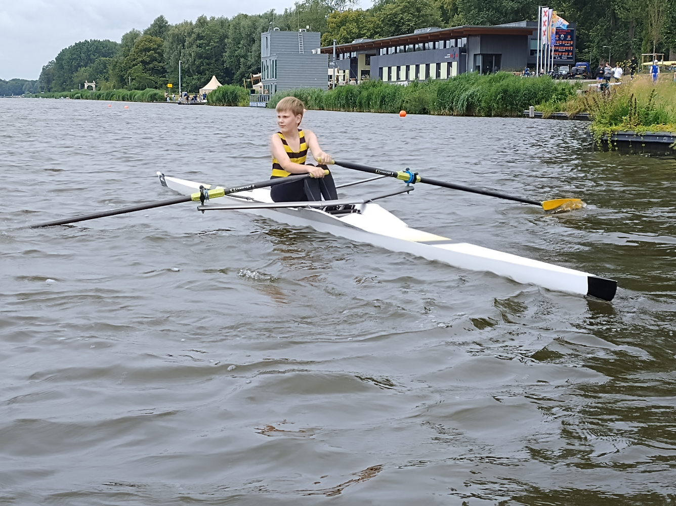 Krijn